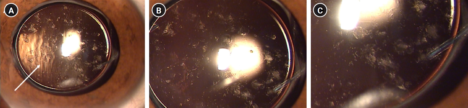 icrs-25-005f1.jpg